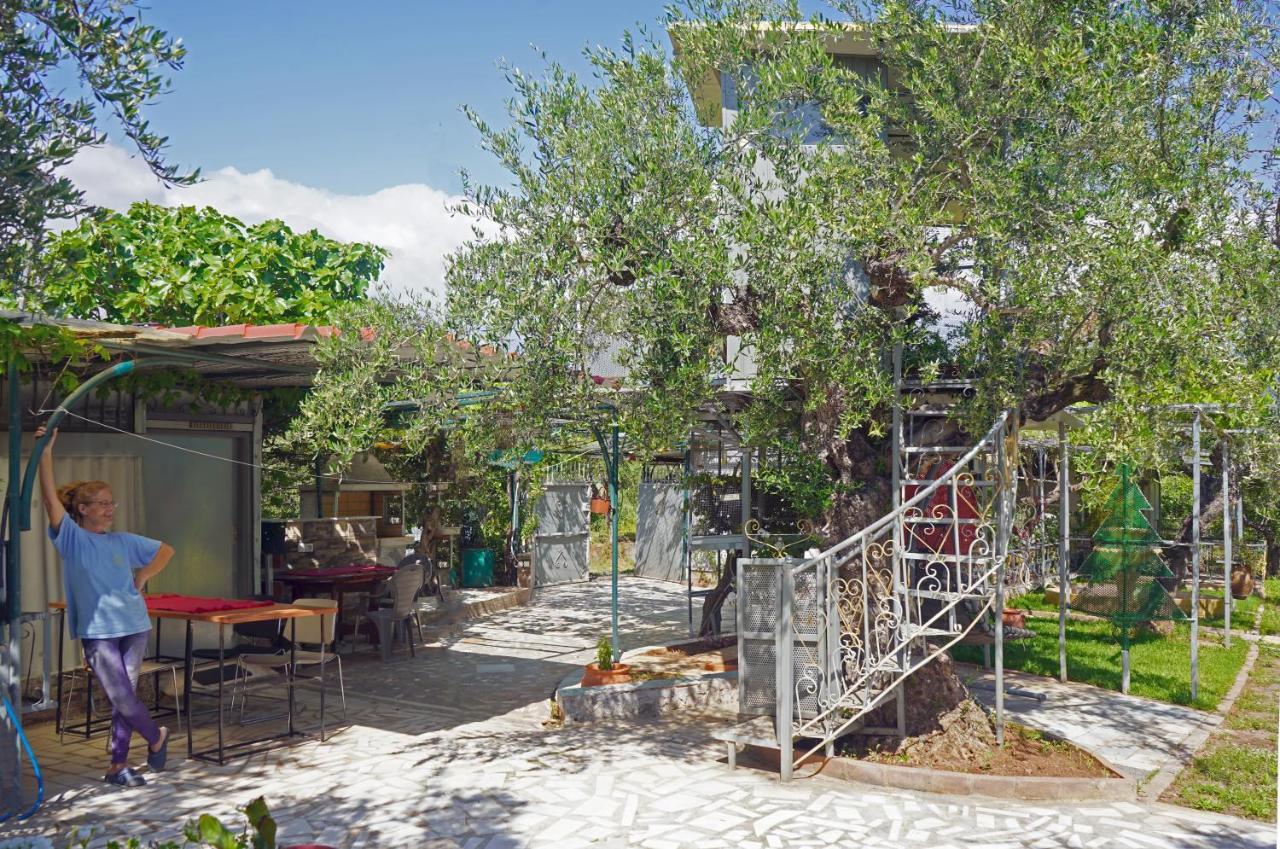 Villa Veni Olive House Kalamata Exterior foto